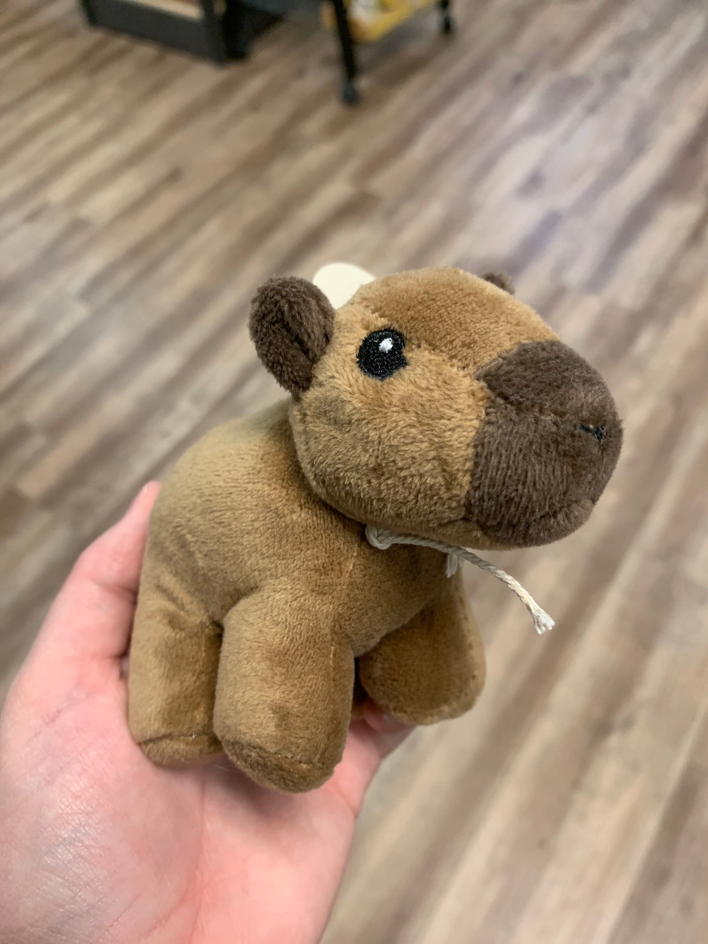 Wild Beans Stuffies