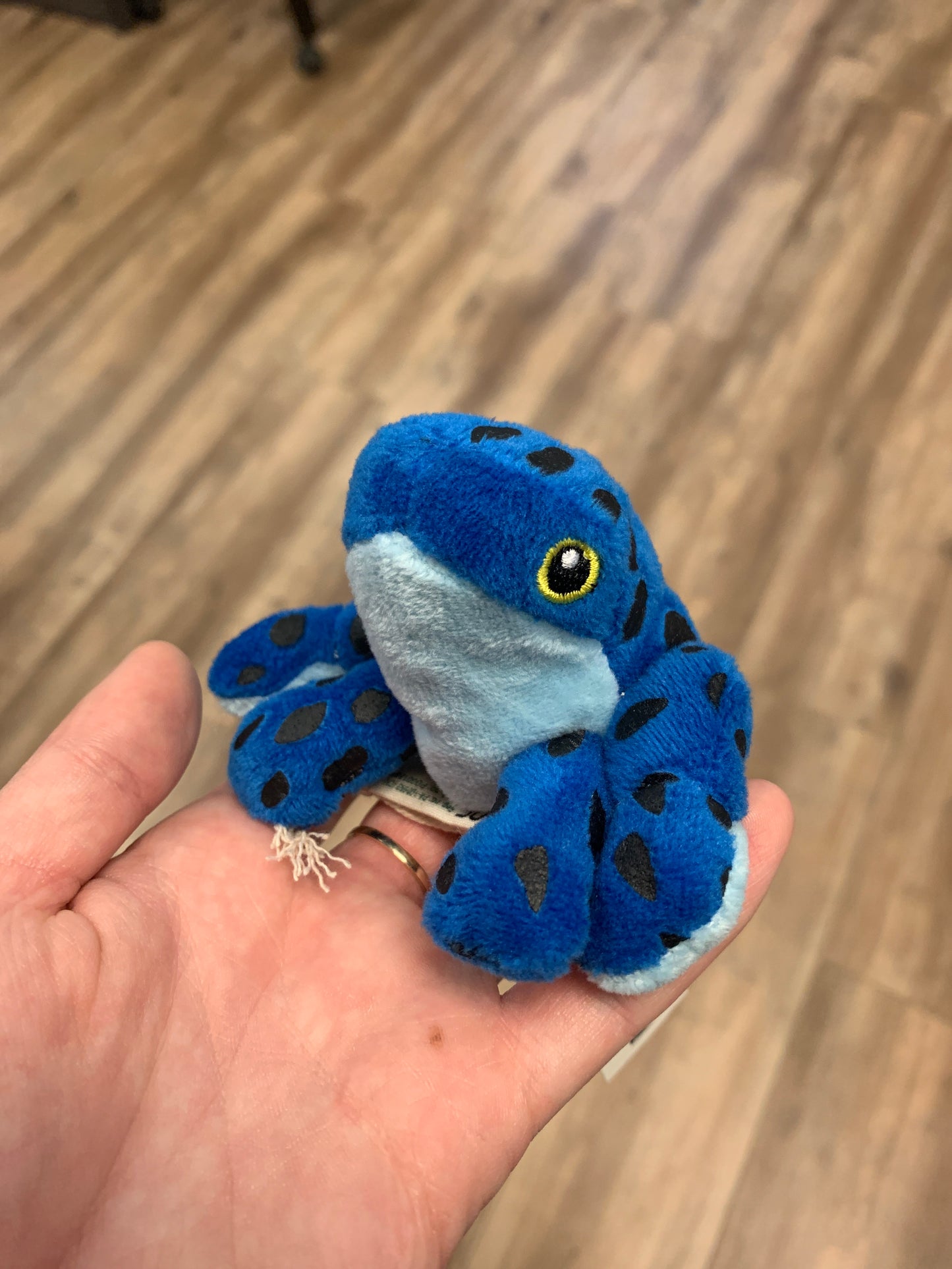 Wild Beans Stuffies