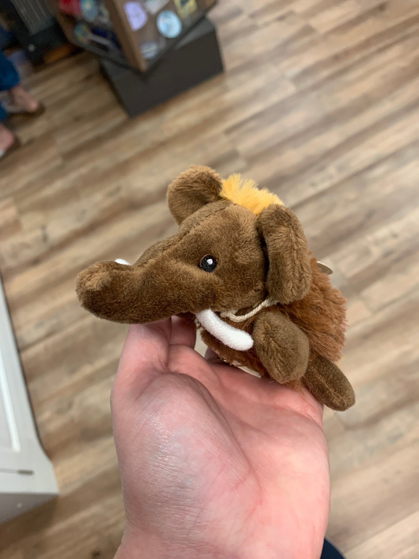 Wild Beans Stuffies