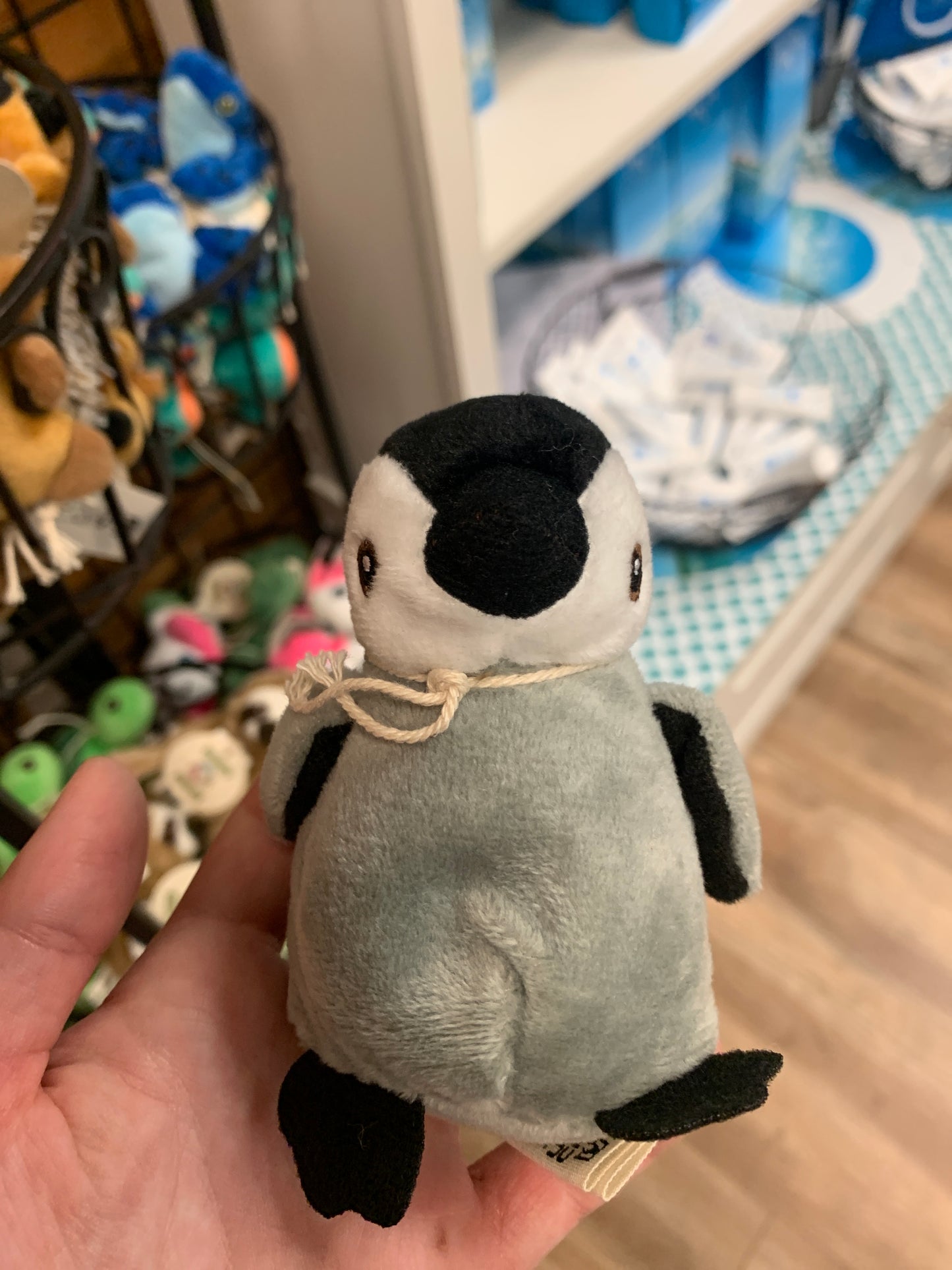 Wild Beans Stuffies